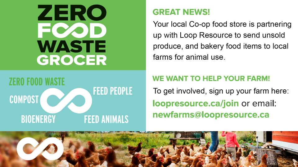 Dauphin Coop Zero Waste Grocer Dauphin Coop